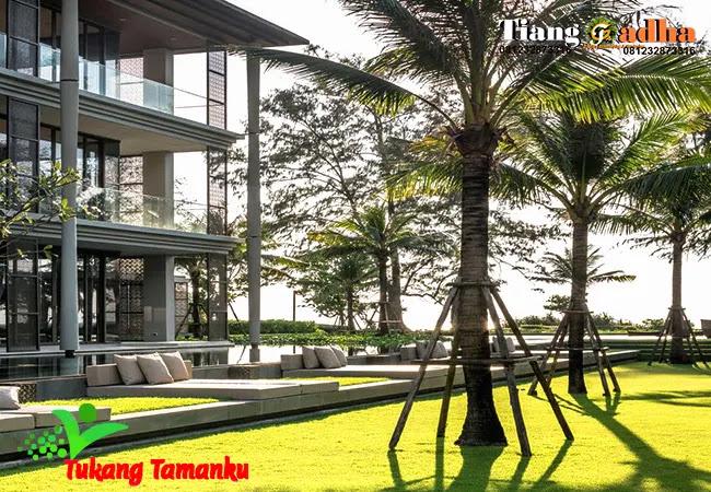 Tukang Taman Demak: Mewujudkan Taman Kecil yang Asri di Lahan Terbatas